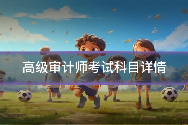 高级审计师考试科目详情