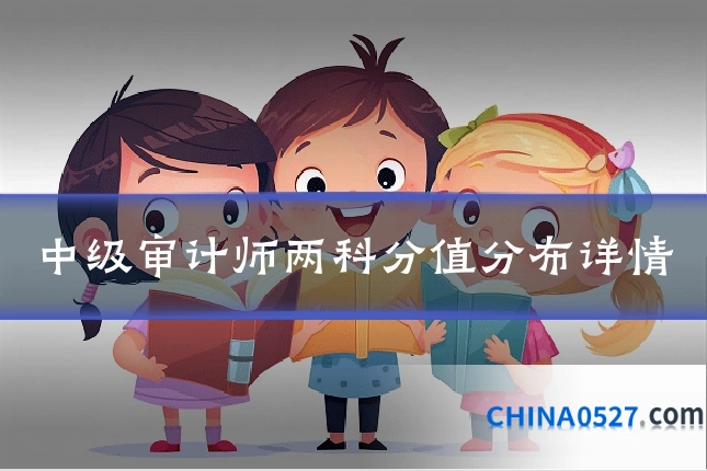 中级审计师两科分值分布详情