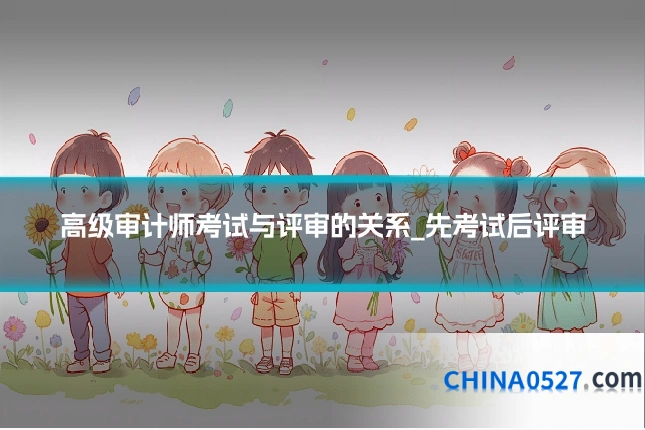 高级审计师考试与评审的关系_先考试后评审