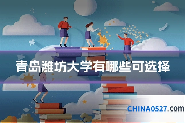 青岛潍坊大学有哪些可选择