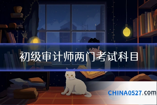 初级审计师两门考试科目