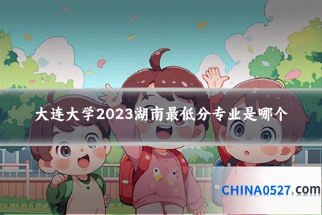 大连大学2023湖南最低分专业是哪个