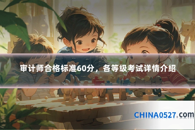 审计师合格标准60分,各等级考试详情介绍