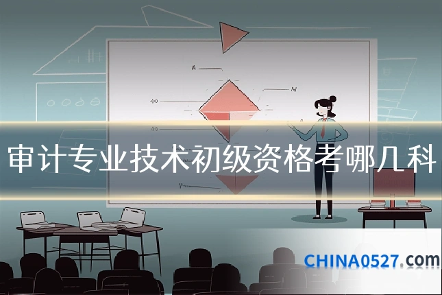 审计专业技术初级资格考哪几科