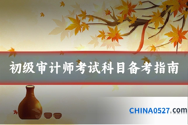 初级审计师考试科目备考指南