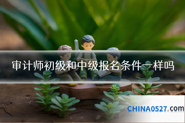 审计师初级和中级报名条件一样吗