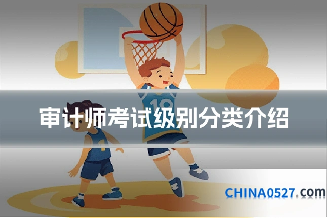 审计师考试级别分类介绍