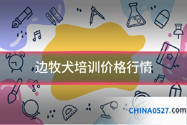 边牧犬培训价格行情
