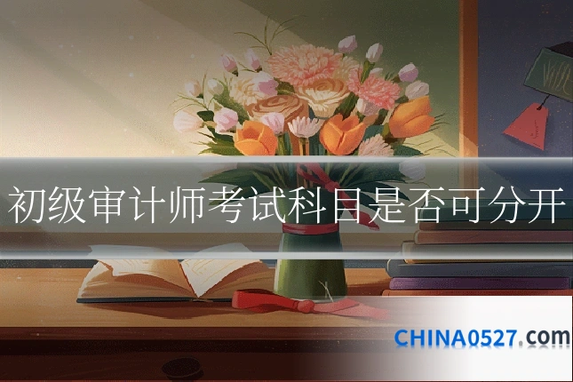 初级审计师考试科目是否可分开