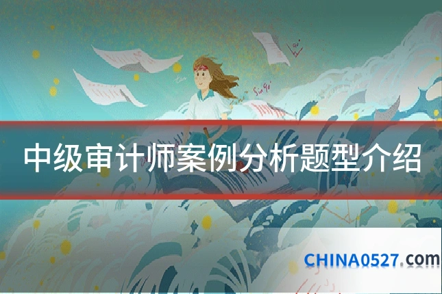 中级审计师案例分析题型介绍