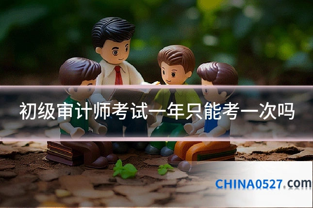 初级审计师考试一年只能考一次吗
