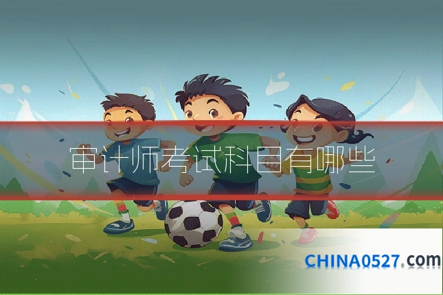 审计师考试科目有哪些