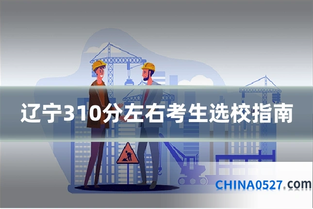 辽宁310分左右考生选校指南