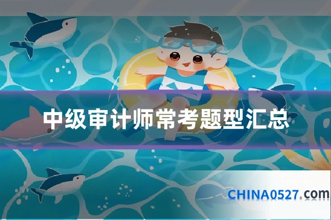 中级审计师常考题型汇总