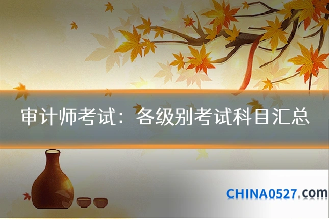 审计师考试：各级别考试科目汇总