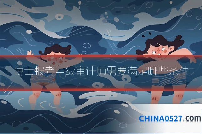 博士报考中级审计师需要满足哪些条件