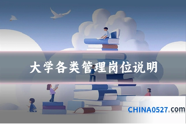 大学各类管理岗位说明