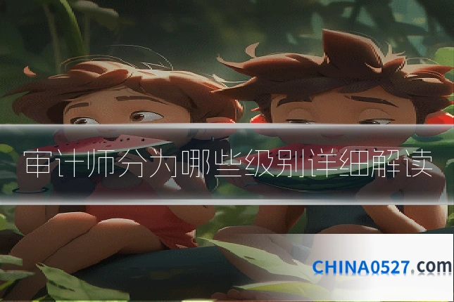 审计师分为哪些级别详细解读