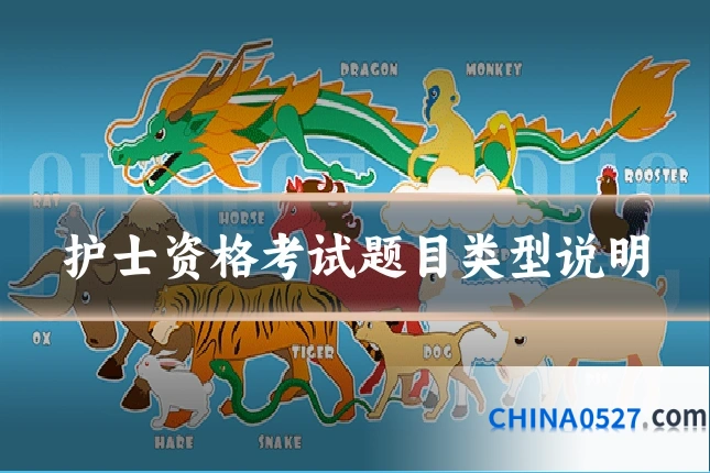 护士资格考试题目类型说明