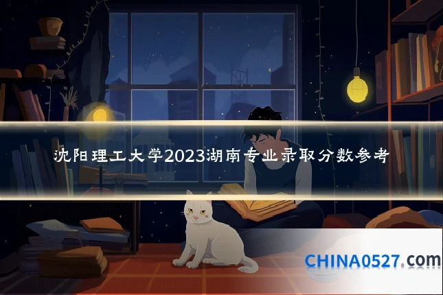 沈阳理工大学2023湖南专业录取分数参考