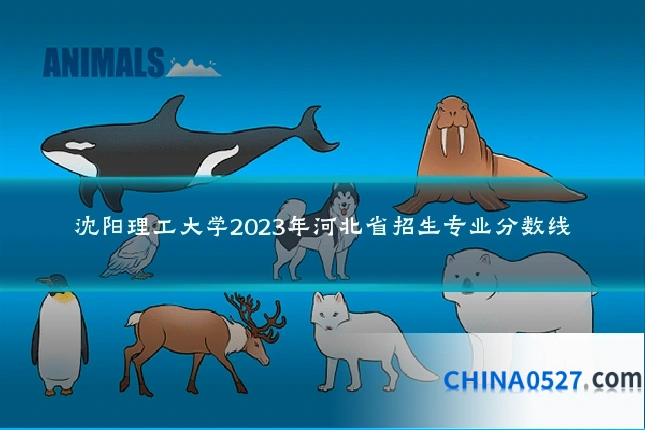 沈阳理工大学2023年河北省招生专业分数线