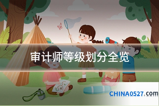 审计师等级划分全览