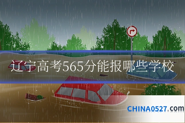辽宁高考565分能报哪些学校