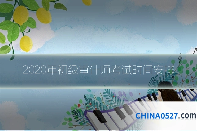 2020年初级审计师考试时间安排