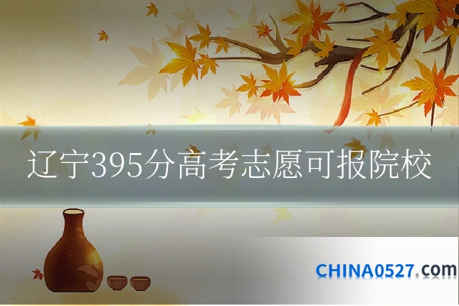 辽宁395分高考志愿可报院校