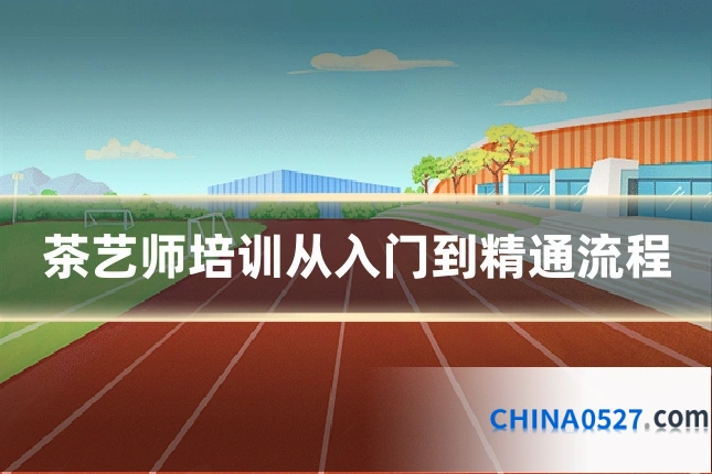 茶艺师培训从入门到精通流程