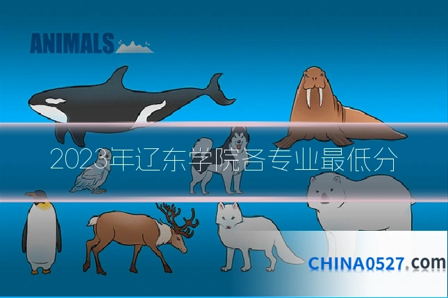 2023年辽东学院各专业最低分