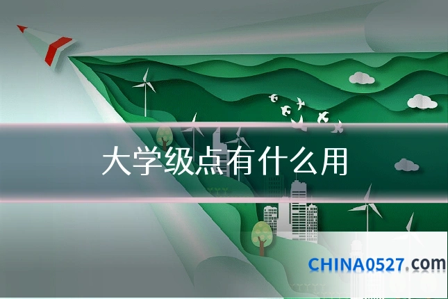 大学级点有什么用