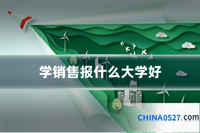 学销售报什么大学好