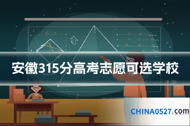 安徽315分高考志愿可选学校