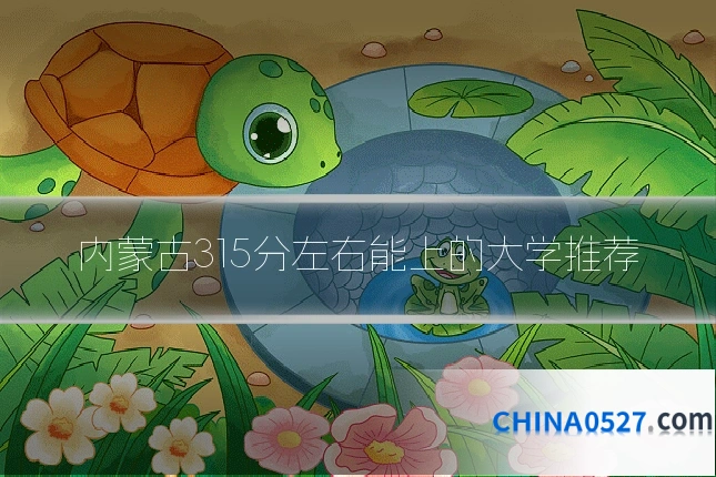 内蒙古315分左右能上的大学推荐