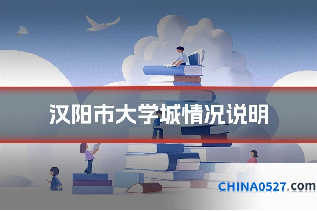 汉阳市大学城情况说明