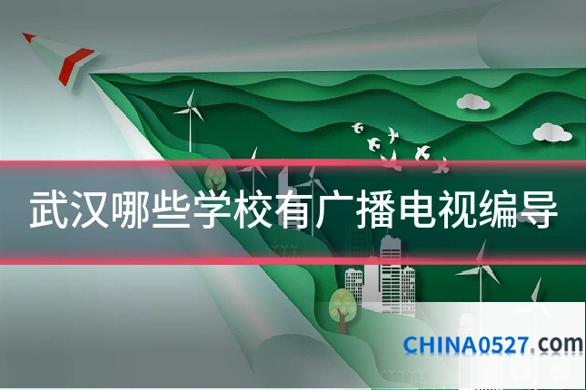 武汉哪些学校有广播电视编导