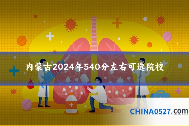 内蒙古2024年540分左右可选院校