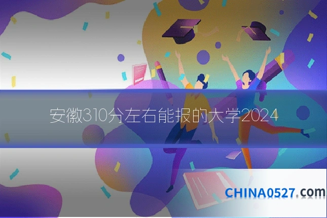 安徽310分左右能报的大学2024
