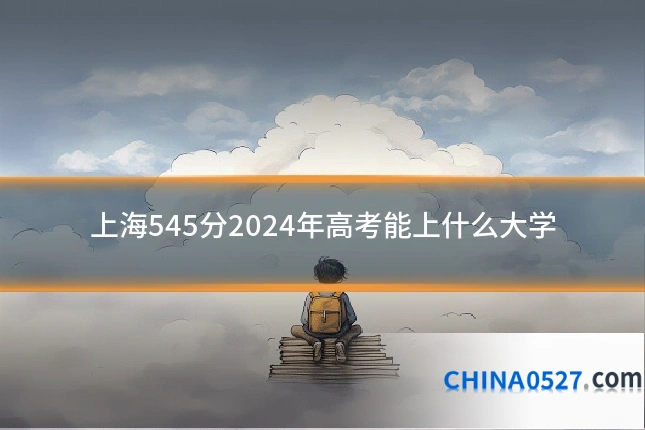 上海545分2024年高考能上什么大学