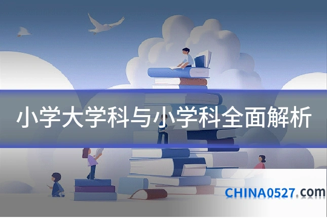 小学大学科与小学科全面解析
