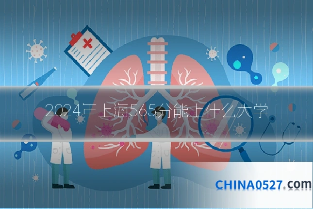 2024年上海565分能上什么大学