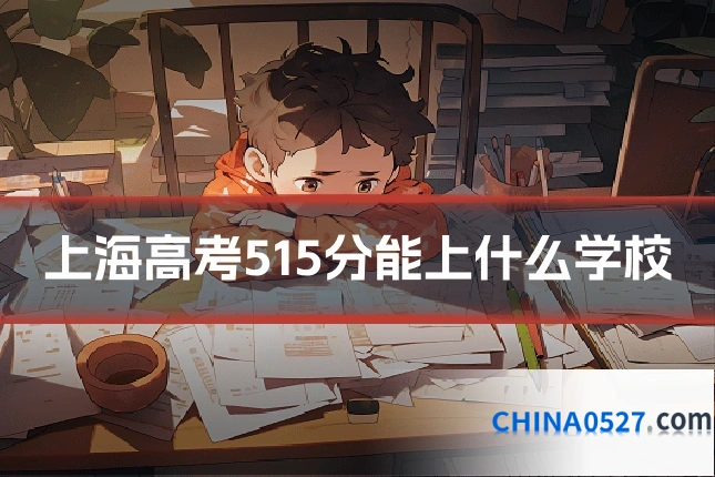 上海高考515分能上什么学校