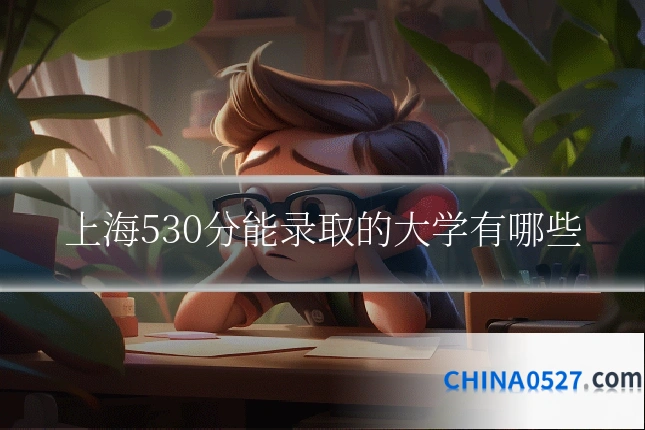 上海530分能录取的大学有哪些