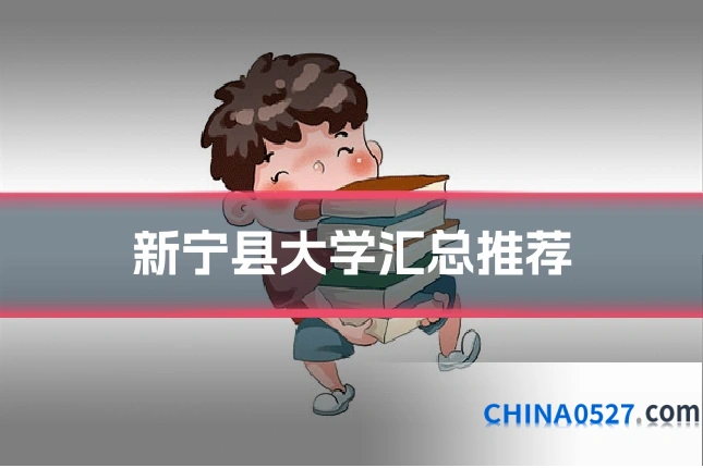 新宁县大学汇总推荐