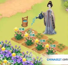 我的花园世界送花方法分享