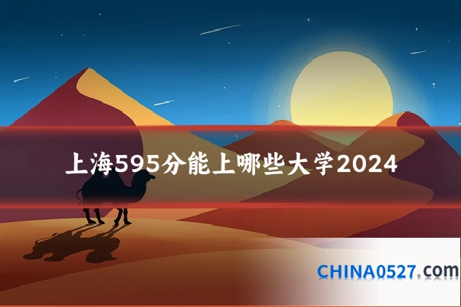 上海595分能上哪些大学2024