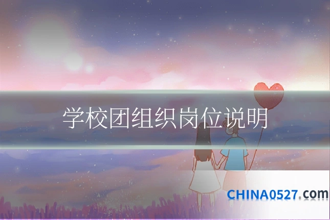 学校团组织岗位说明