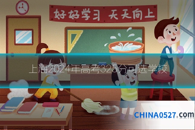 上海2024年高考325分可选学校