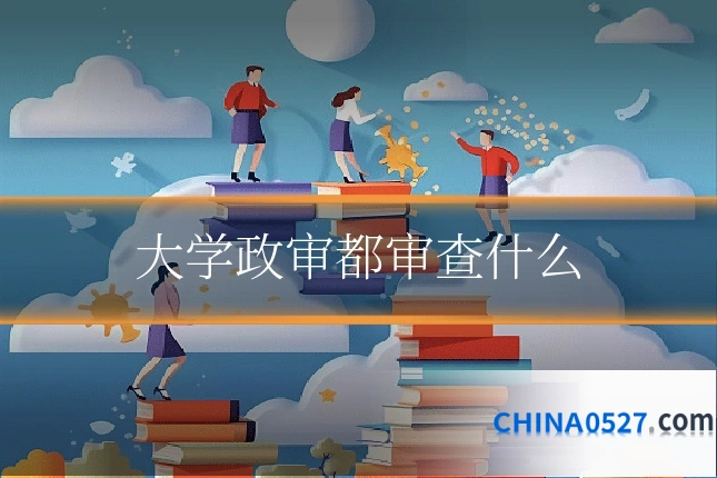 大学政审都审查什么